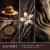image:imageScentSationals Alchemy  Oud Wood Scented Fragrance Oil Refills 3Pack