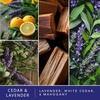 image:imageScentSationals Cuddle Up  Tonka Scented Wax Melts 10oz 24 CubesCedar  Lavender