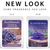 image:imageScentSationals Cuddle Up  Tonka Scented Wax Melts 10oz 24 CubesCedar  Lavender