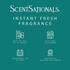 image:imageScentSationals Eucalyptus Leaf amp Cedar Scented Fragrance Oil Refills 3Pack