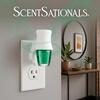 image:imageScentSationals Eucalyptus Leaf amp Cedar Scented Fragrance Oil Refills 3Pack