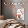 image:imageScentSationals Feelin Cozy  Cashmere Scented Fragrance Oil Refills 3PackFeelin Cozy