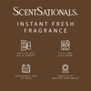 image:imageScentSationals Feelin Cozy  Cashmere Scented Fragrance Oil Refills 3PackFeelin Cozy
