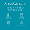 image:imageScentSationals Feelin Cozy  Cashmere Scented Fragrance Oil Refills 3PackMidnight Rain