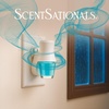 image:imageScentSationals Feelin Cozy  Cashmere Scented Fragrance Oil Refills 3PackMidnight Rain