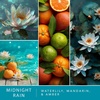 image:imageScentSationals Feelin Cozy  Cashmere Scented Fragrance Oil Refills 3PackMidnight Rain