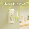 image:imageScentSationals Frosted Evergreen  Spruce Fragrance Oil Refills 3Pack