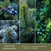 image:imageScentSationals Frosted Evergreen  Spruce Fragrance Oil Refills 3Pack