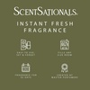 image:imageScentSationals Frosted Evergreen  Spruce Fragrance Oil Refills 3Pack