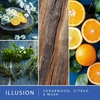 image:imageScentSationals Illusion  Cedarwood Scented Wax Melts 10oz 24 CubesIllusion