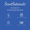 image:imageScentSationals Illusion  Cedarwood Scented Wax Melts 10oz 24 CubesIllusion