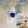 image:imageScentSationals Illusion Fragrance Oil Plug In Air Freshener Refills 3Pack  Works with Scentsationals Wall Plugs LongLasting Home Fragrance 08 fl oz Each Packaging May Vary