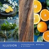 image:imageScentSationals Illusion Fragrance Oil Plug In Air Freshener Refills 3Pack  Works with Scentsationals Wall Plugs LongLasting Home Fragrance 08 fl oz Each Packaging May Vary