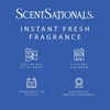 image:imageScentSationals Illusion Fragrance Oil Plug In Air Freshener Refills 3Pack  Works with Scentsationals Wall Plugs LongLasting Home Fragrance 08 fl oz Each Packaging May Vary