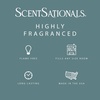 image:imageScentSationals No Place Like Home Cinnamon Christmas Wax Melts 10ozEucalyptus Snow