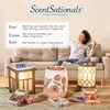 image:imageScentSationals No Place Like Home Cinnamon Christmas Wax Melts 10ozNo Place Like Home