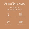 image:imageScentSationals No Place Like Home Cinnamon Christmas Wax Melts 10ozNo Place Like Home