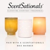 image:imageScentSationals No Place Like Home Cinnamon Christmas Wax Melts 10ozSugared Cranberries