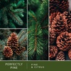 image:imageScentSationals Perfectly Pine  Pine Scented Christmas Wax Melts 10ozPerfectly Pine