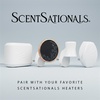 image:imageScentSationals Twilight Pine Scented Christmas Fragrance Oil Refills 3PackCandy Apple