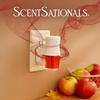 image:imageScentSationals Twilight Pine Scented Christmas Fragrance Oil Refills 3PackCandy Apple