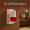 image:imageScentSationals Twilight Pine Scented Christmas Fragrance Oil Refills 3PackCinnamon Cheer