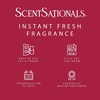 image:imageScentSationals Twilight Pine Scented Christmas Fragrance Oil Refills 3PackPeppermint Swirl