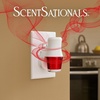 image:imageScentSationals Twilight Pine Scented Christmas Fragrance Oil Refills 3PackPeppermint Swirl