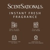 image:imageScentSationals Twilight Pine Scented Christmas Fragrance Oil Refills 3PackSpiced Vanilla Swirl