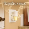 image:imageScentSationals Twilight Pine Scented Christmas Fragrance Oil Refills 3PackSpiced Vanilla Swirl
