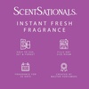image:imageScentSationals Twilight Pine Scented Christmas Fragrance Oil Refills 3PackSugar Plum Fairy