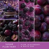image:imageScentSationals Twilight Pine Scented Christmas Fragrance Oil Refills 3PackSugar Plum Fairy