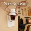 image:imageScentSationals Twilight Pine Scented Christmas Fragrance Oil Refills 3PackTwilight Pine