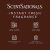 image:imageScentSationals Twilight Pine Scented Christmas Fragrance Oil Refills 3PackTwilight Pine