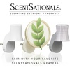 image:imageScentSationals Twilight Pine Scented Christmas Fragrance Oil Refills 3PackUnder the Tree