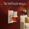 image:imageScentSationals Twilight Pine Scented Christmas Fragrance Oil Refills 3PackWarm Wishes