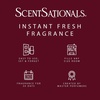 image:imageScentSationals Twilight Pine Scented Christmas Fragrance Oil Refills 3PackWarm Wishes
