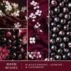 image:imageScentSationals Twilight Pine Scented Christmas Fragrance Oil Refills 3PackWarm Wishes