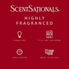 image:imageScentSationals Vanilla Pine Balsam Scented Christmas Wax Melts 10ozCinnamon Apples