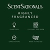 image:imageScentSationals Vanilla Pine Balsam Scented Christmas Wax Melts 10ozWoodland Spruce