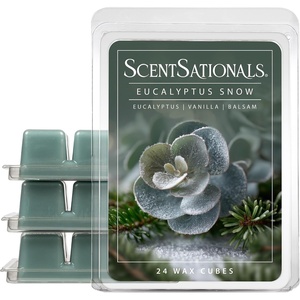 image:imageScentSationals No Place Like Home Cinnamon Christmas Wax Melts 10ozEucalyptus Snow