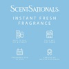 image:imageScentSationals Bubbles  Soap Suds Scented Fragrance Oil Refills 3PackLinen Sea Breeze