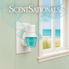 image:imageScentSationals Bubbles  Soap Suds Scented Fragrance Oil Refills 3PackLinen Sea Breeze