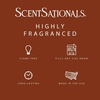 image:imageScentSationals Caramel Apple Spice Scented Fall Wax Melts 10oz 24 CubesCaramel Apple Spice
