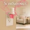 image:imageScentSationals Cherry Pistachio Macaron Fragrance Oil Refills 3Pack