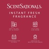 image:imageScentSationals Cherry Pistachio Macaron Fragrance Oil Refills 3Pack