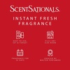 image:imageScentSationals Strawberries amp Cream Scented Fragrance Oil Refills 3Pack