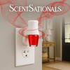 image:imageScentSationals Strawberries amp Cream Scented Fragrance Oil Refills 3Pack