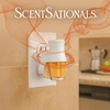 image:imageScentSationals Warm Apple Pie Scented Fall Fragrance Oil Refills 3PackPumpkin Snickerdoodle