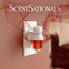 image:imageScentSationals Warm Apple Pie Scented Fall Fragrance Oil Refills 3PackSpiced Berry Crumble